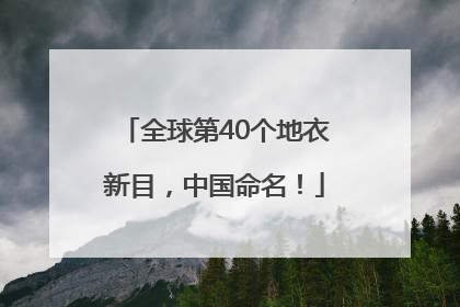 全球第40个地衣新目，中国命名！