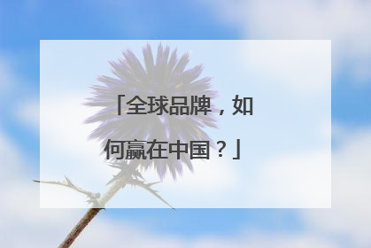 全球品牌，如何赢在中国？