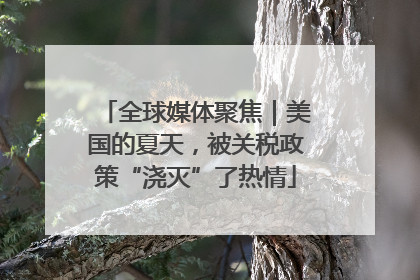 全球媒体聚焦｜美国的夏天，被关税政策“浇灭”了热情