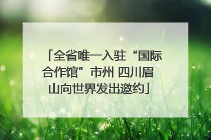 全省唯一入驻“国际合作馆”市州 四川眉山向世界发出邀约