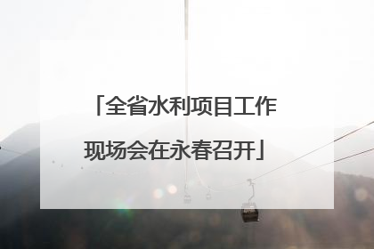 全省水利项目工作现场会在永春召开