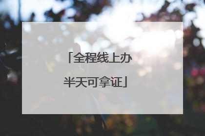 全程线上办 半天可拿证