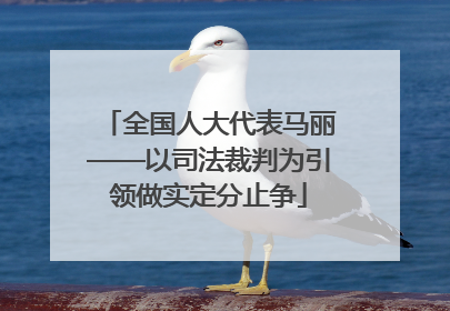 全国人大代表马丽——以司法裁判为引领做实定分止争