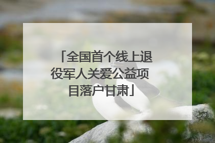 全国首个线上退役军人关爱公益项目落户甘肃