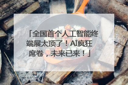全国首个人工智能终端展太顶了！AI疯狂席卷，未来已来！