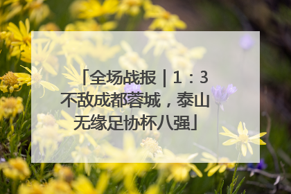 全场战报｜1：3不敌成都蓉城，泰山无缘足协杯八强