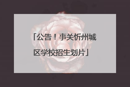 公告！事关忻州城区学校招生划片