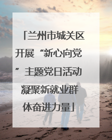 兰州市城关区开展“新心向党”主题党日活动 凝聚新就业群体奋进力量