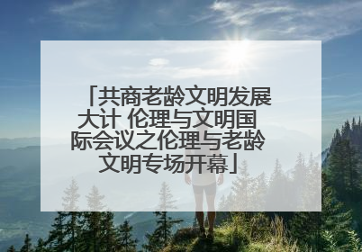 共商老龄文明发展大计 伦理与文明国际会议之伦理与老龄文明专场开幕