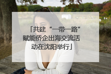共建“一带一路”赋能侨企出海交流活动在沈阳举行