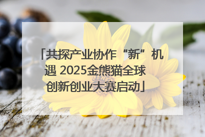 共探产业协作“新”机遇 2025金熊猫全球创新创业大赛启动