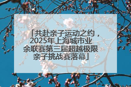 共赴亲子运动之约，2025年上海城市业余联赛第三届超越极限亲子挑战赛落幕