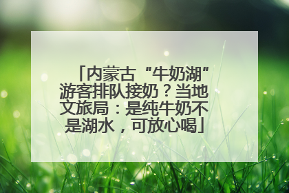 内蒙古“牛奶湖”游客排队接奶？当地文旅局：是纯牛奶不是湖水，可放心喝