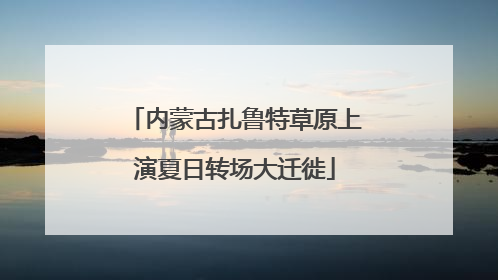 内蒙古扎鲁特草原上演夏日转场大迁徙