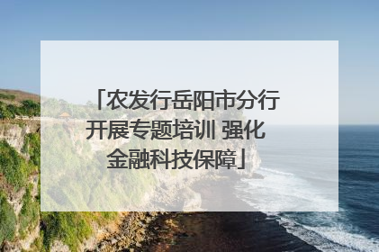 农发行岳阳市分行开展专题培训 强化金融科技保障