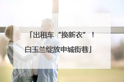 出租车“换新衣”！白玉兰绽放申城街巷