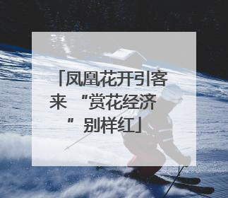 凤凰花开引客来 “赏花经济”别样红