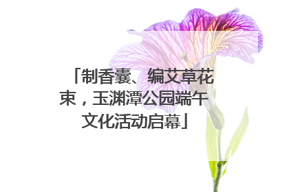 制香囊、编艾草花束，玉渊潭公园端午文化活动启幕