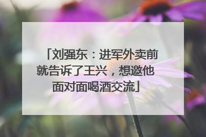 刘强东：进军外卖前就告诉了王兴，想邀他面对面喝酒交流