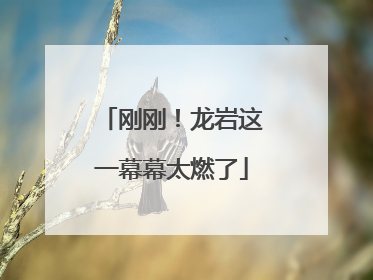 刚刚！龙岩这一幕幕太燃了
