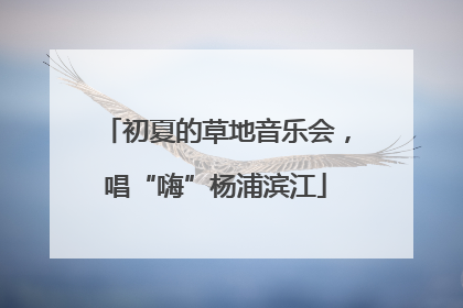 初夏的草地音乐会，唱“嗨”杨浦滨江