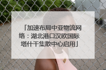 加速布局中亚物流网络：湖北港口汉欧国际塔什干集散中心启用
