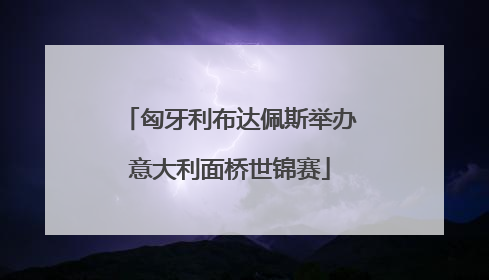 匈牙利布达佩斯举办意大利面桥世锦赛