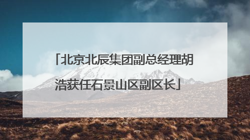 北京北辰集团副总经理胡浩获任石景山区副区长