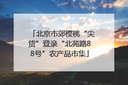 北京市郊樱桃“尖货”登录“北苑路88号”农产品市集