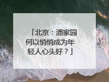 北京：潘家园何以悄悄成为年轻人心头好？