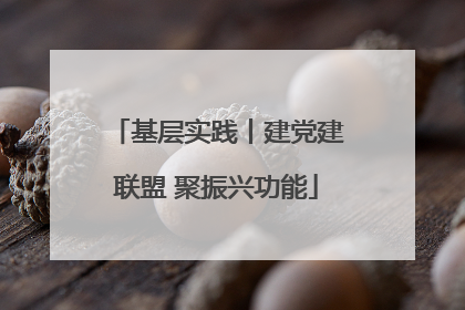 基层实践丨建党建联盟 聚振兴功能