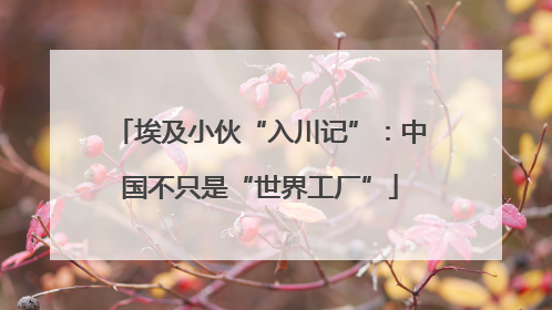埃及小伙“入川记”：中国不只是“世界工厂”