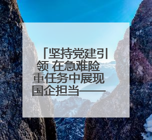 坚持党建引领 在急难险重任务中展现国企担当——石家庄交投集团做优做强典型报道之一