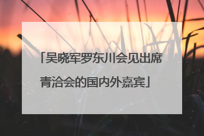吴晓军罗东川会见出席青洽会的国内外嘉宾