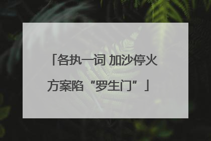 各执一词 加沙停火方案陷“罗生门”