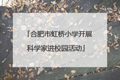 合肥市虹桥小学开展科学家进校园活动