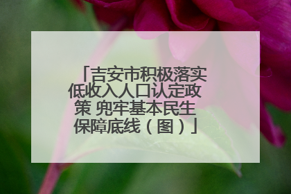 吉安市积极落实低收入人口认定政策 兜牢基本民生保障底线（图）