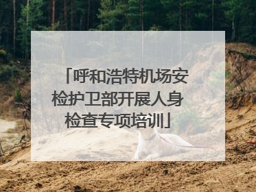 呼和浩特机场安检护卫部开展人身检查专项培训