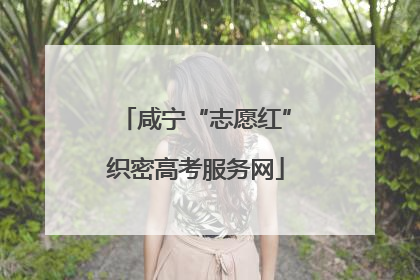 咸宁“志愿红”织密高考服务网