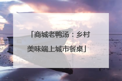商城老鸭汤：乡村美味端上城市餐桌