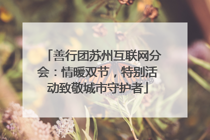 善行团苏州互联网分会：情暖双节，特别活动致敬城市守护者
