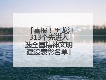 喜报！黑龙江313个先进入选全国精神文明建设表彰名单