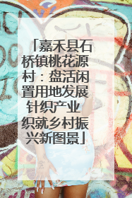 嘉禾县石桥镇桃花源村：盘活闲置用地发展针织产业 织就乡村振兴新图景