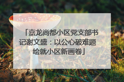 嘉龙尚都小区党支部书记谢文盛：以公心破难题 绘就小区新画卷