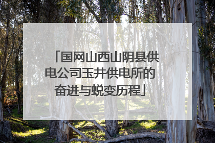 国网山西山阴县供电公司玉井供电所的奋进与蜕变历程