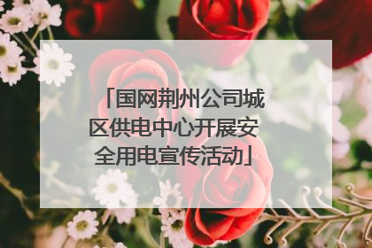 国网荆州公司城区供电中心开展安全用电宣传活动