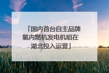国内首台自主品牌氢内燃机发电机组在湖北投入运营