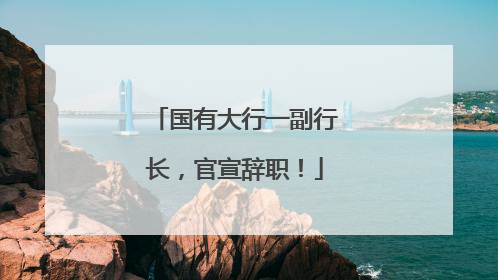 国有大行一副行长，官宣辞职！