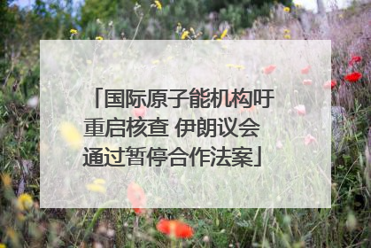 国际原子能机构吁重启核查 伊朗议会通过暂停合作法案