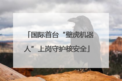 国际首台“壁虎机器人”上岗守护核安全